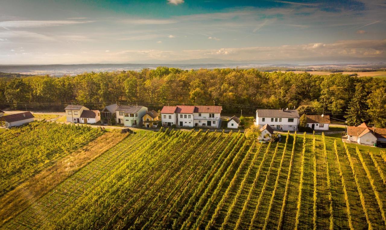 Ferienhaus Szapary II Eisenberg an der Pinka Exteriör bild