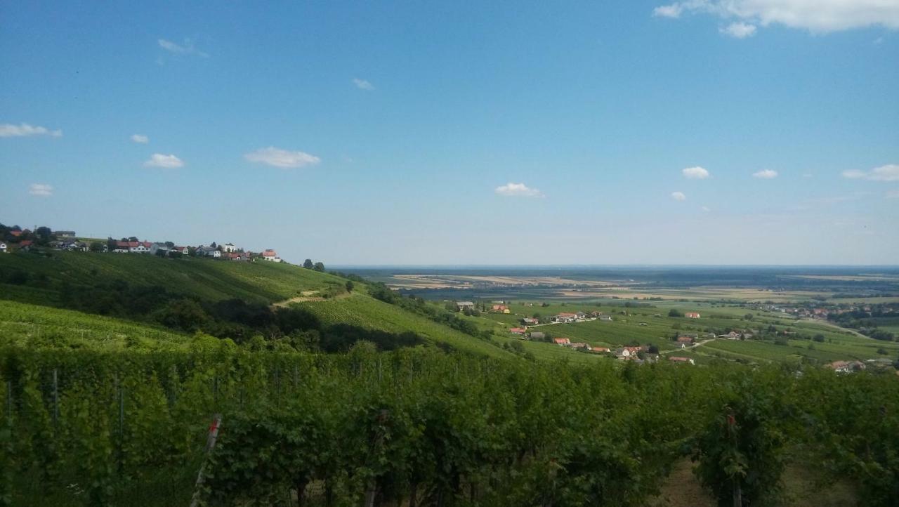 Ferienhaus Szapary II Eisenberg an der Pinka Exteriör bild